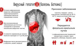 Гепатит A — что это такое?