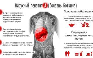 Гепатит A — что это такое?