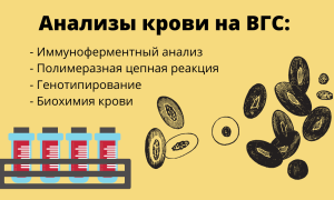 Особенности современных методов лечения ВГС