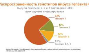 Генотип 1 — 1b и 1a гепатита С