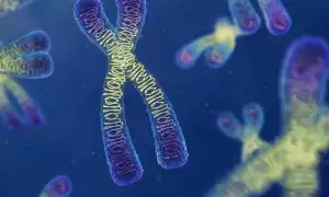 Передается ли рак по наследству?