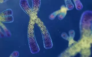 Передается ли рак по наследству?