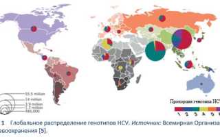 Девять стран в мире на пути к элиминации гепатита С 