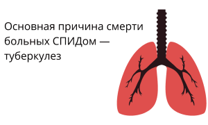 Какие болезни вызывает ВИЧ?