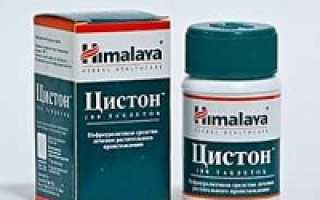 Цистон