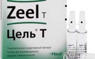 Цель Т