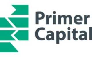 Primer Capital проинвестировал разработку нового препарата 