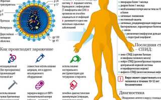 Найден способ заставить иммунную систему бороться с ВИЧ