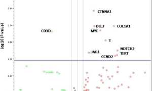 Профилирование экспрессии генов CD133 клеток при ГЦК