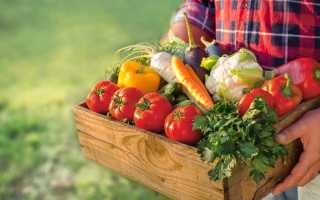 Продукты, полезные для печени и поджелудочной железы