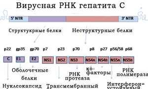 Как заказать Софосбувир и избежать мошенников?