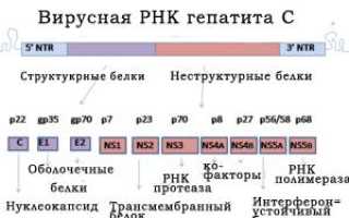 Как заказать Софосбувир и избежать мошенников?