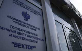 «Вектор» изучит гепатит В и С на синхротроне СКИФ