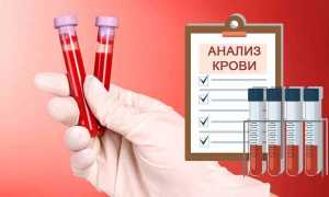 Через сколько сдавать анализ на гепатит после заражения?