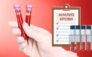 Через сколько сдавать анализ на гепатит после заражения?