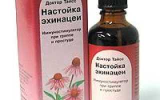 Эхинацея