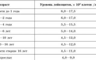 Почему лейкоциты в крови повышены: причины и лечение
