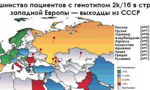 Химерный вирус генотипа 2k/1b и его лечение