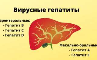 Обзор острых вирусных гепатитов