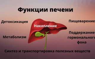 6 важных функций, которые выполняет печень