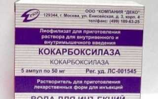 От чего Кокарбоксилаза: инструкция по применению