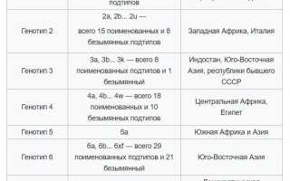 Генотипы гепатита С