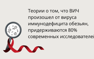 Откуда появился ВИЧ? Главные теории происхождения