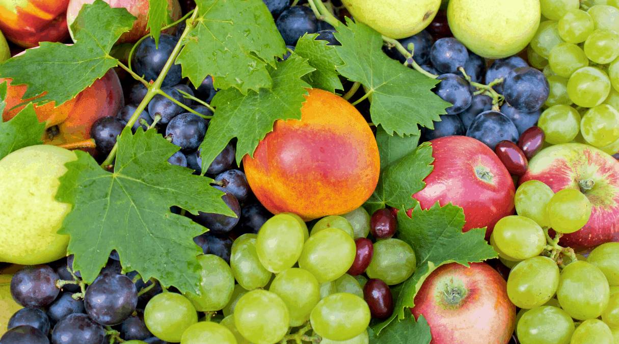 Рак от еды: какие продукты вызывают онкологию?