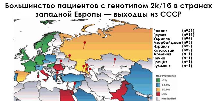 Химерный вирус генотипа 2k/1b и его лечение