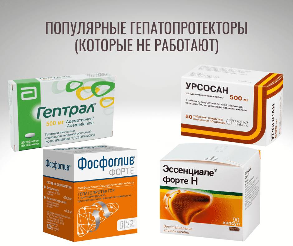 Гепатопротекторы - восстанавливают печень после гепатита С