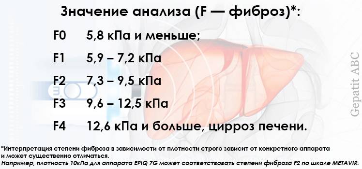 Расшифровка фиброскана