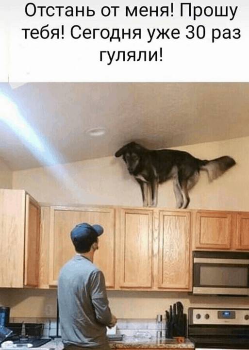 Почему россияне не соблюдают самоизоляцию?